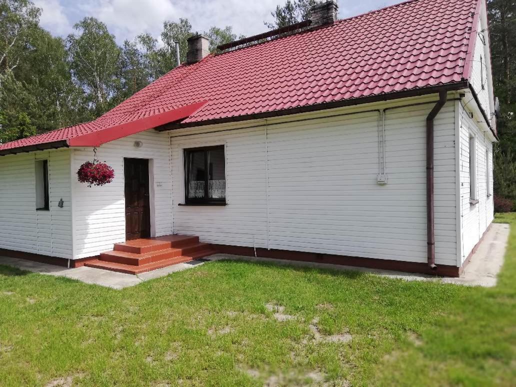 Agroturystyka "Lesne Zacisze Na Podlasiu" Tuczna ภายนอก รูปภาพ