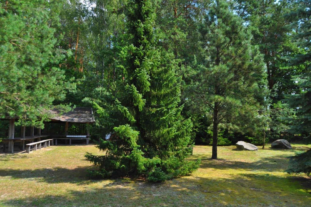 Agroturystyka "Lesne Zacisze Na Podlasiu" Tuczna ภายนอก รูปภาพ