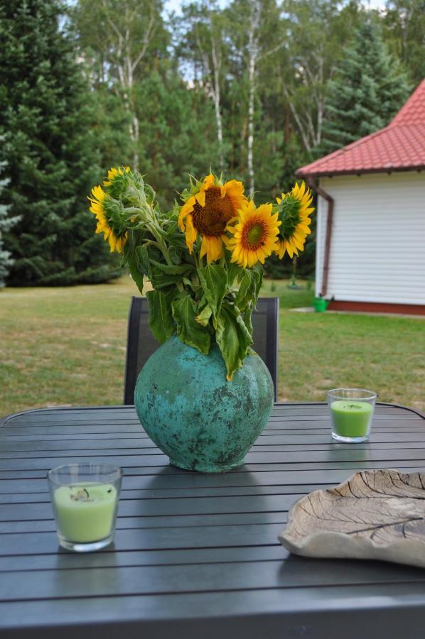 Agroturystyka "Lesne Zacisze Na Podlasiu" Tuczna ภายนอก รูปภาพ
