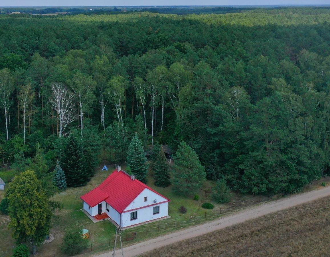 Agroturystyka "Lesne Zacisze Na Podlasiu" Tuczna ภายนอก รูปภาพ